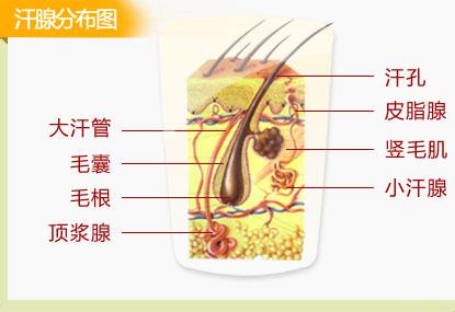 腋臭做过手术切除但复发了怎么办,狐臭科普