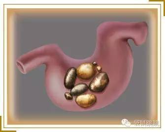 食肉恐龙的绘本,爱吃糖的小恐龙绘本