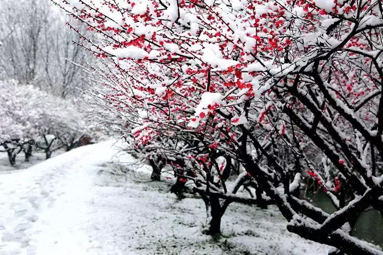 任尔东西南北风全诗隶书作品,任尔东西南北风上一句是啥