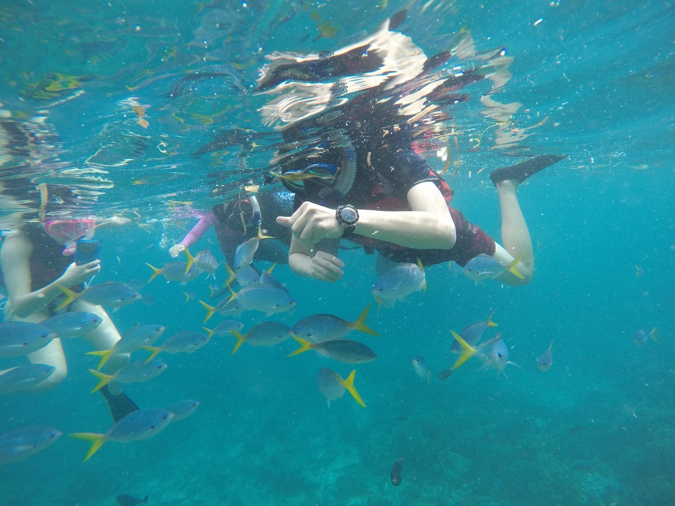 帕劳旅行攻略大全图文,帕劳旅行攻略图文大全