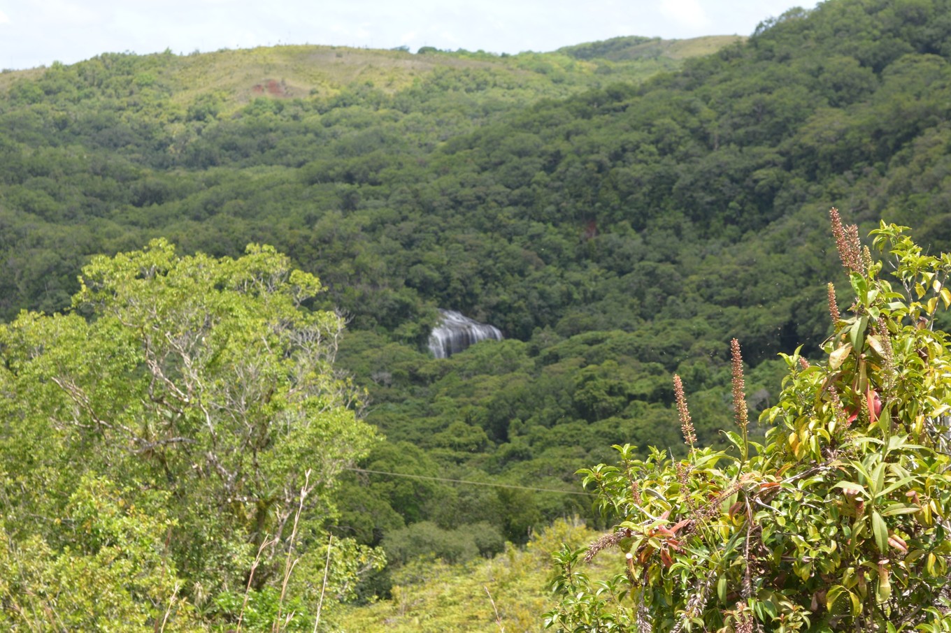 帕劳旅行攻略大全图文,帕劳旅行攻略图文大全