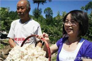 在农村种植什么最合适最挣钱,现在适合农村种植的什么最赚钱