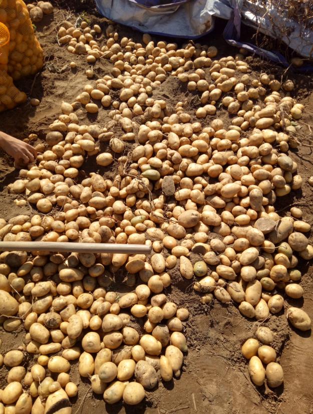 张北天路行,深度还原张北天路