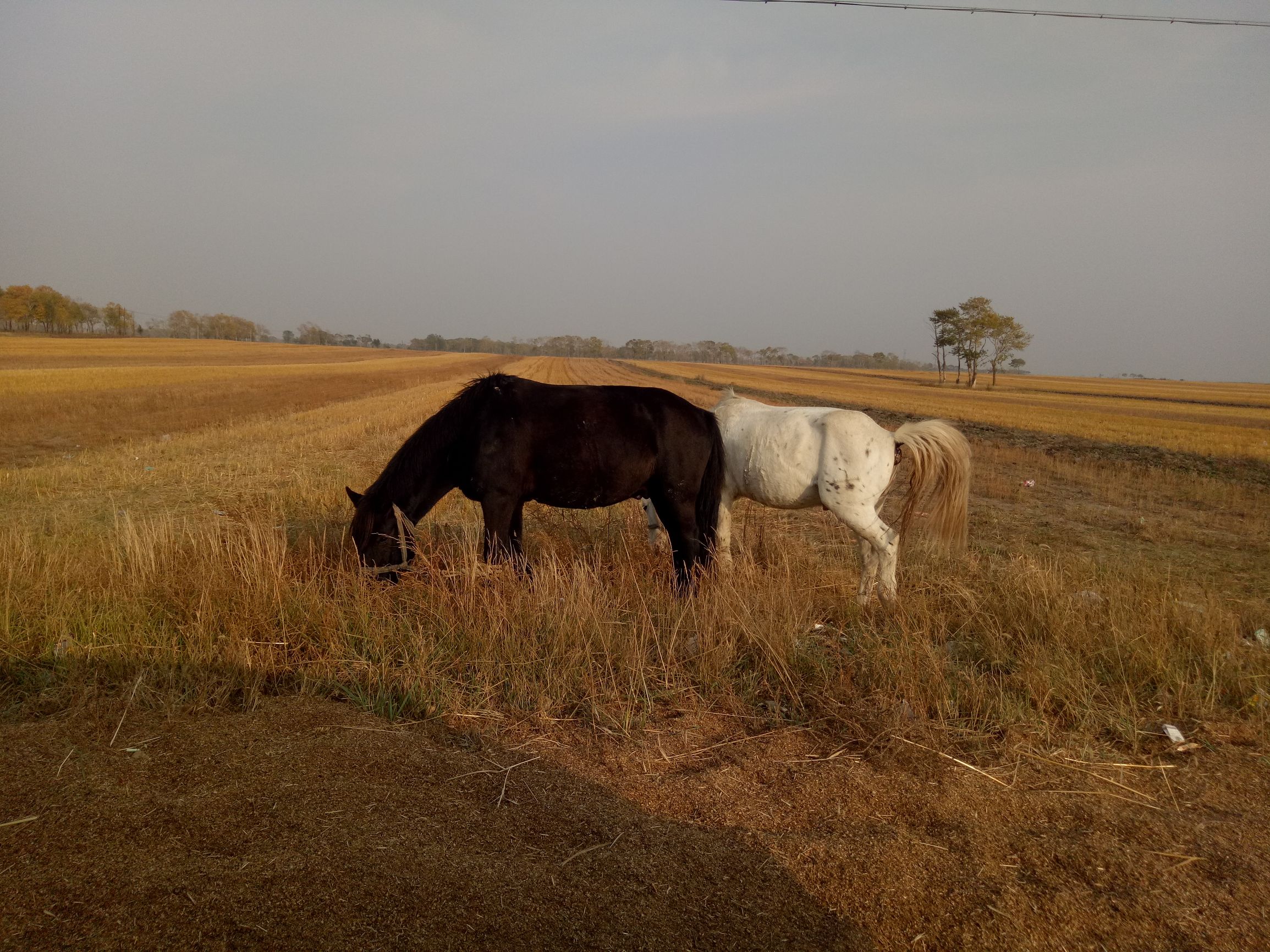 张北天路行,深度还原张北天路