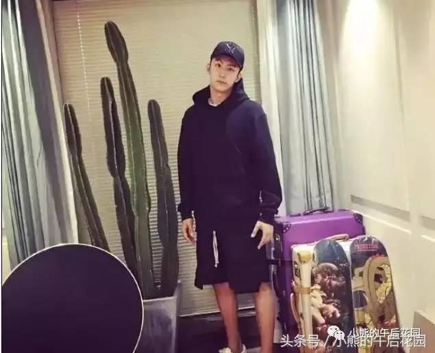 一九九六年历史大事,17年多肉市场变化趋势