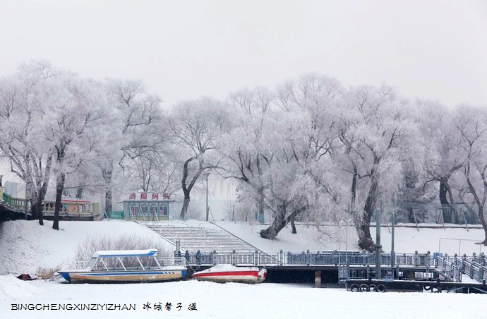 哈尔滨太阳岛的冬天照片,哈尔滨太阳岛的冬天有多美