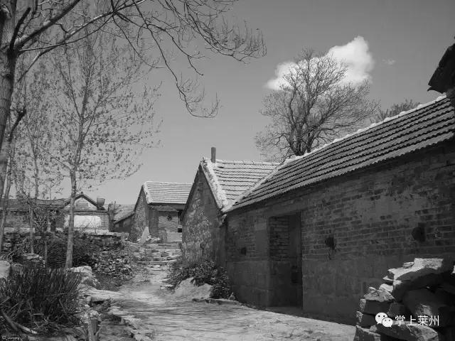 莱州消失的乡镇有哪些地方,莱州市有哪些镇