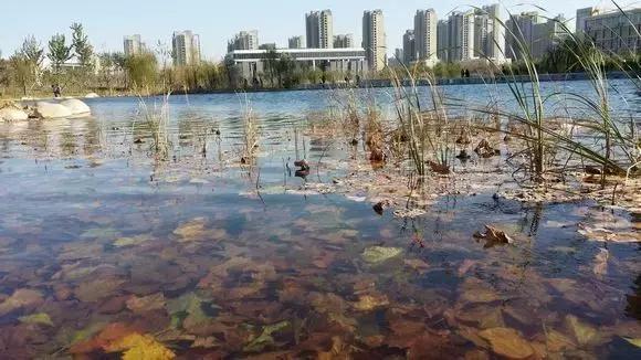 郑州速度！2条新地铁线下月开通，吃喝玩乐去哪儿都不愁