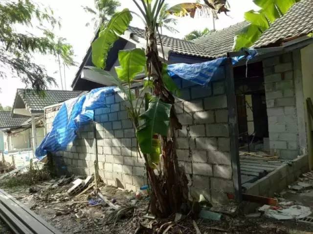 四川帅大叔暴改普吉岛民宿,用时4个月他活出了你最羡慕的样子