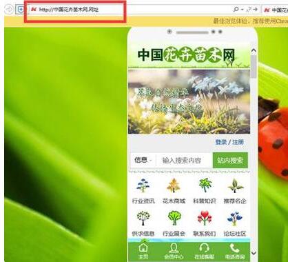 中国花卉苗木网,中国花卉网官网