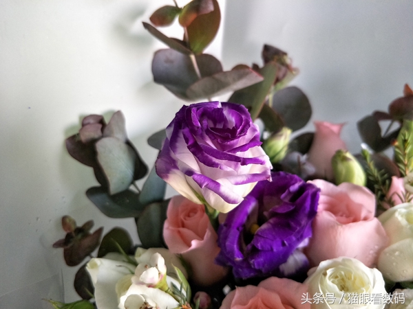 oppor9splus测评游戏,oppor9plus性能评测