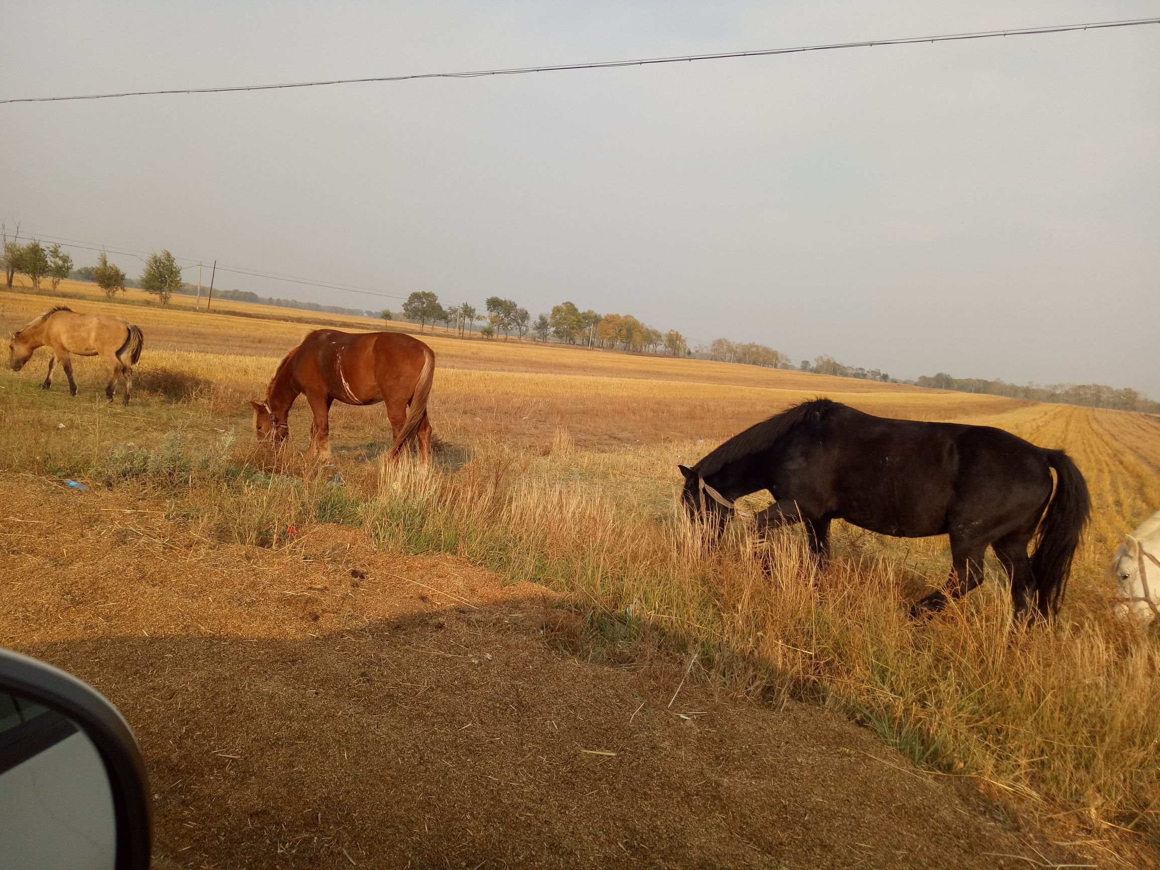 张北天路行,深度还原张北天路
