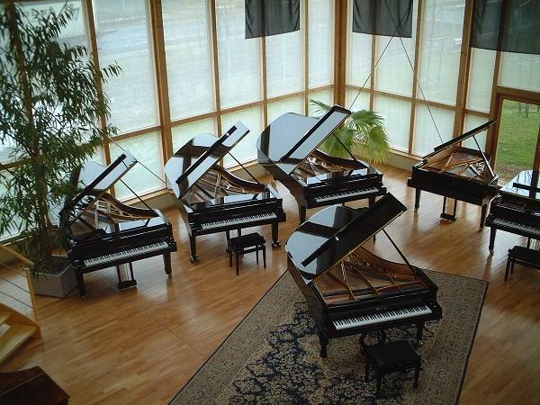 博兰斯勒钢琴有哪几个系列,德国博兰斯勒钢琴有哪些系列