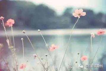 随笔青春的遗憾,随笔青春是一场孤独的盛宴