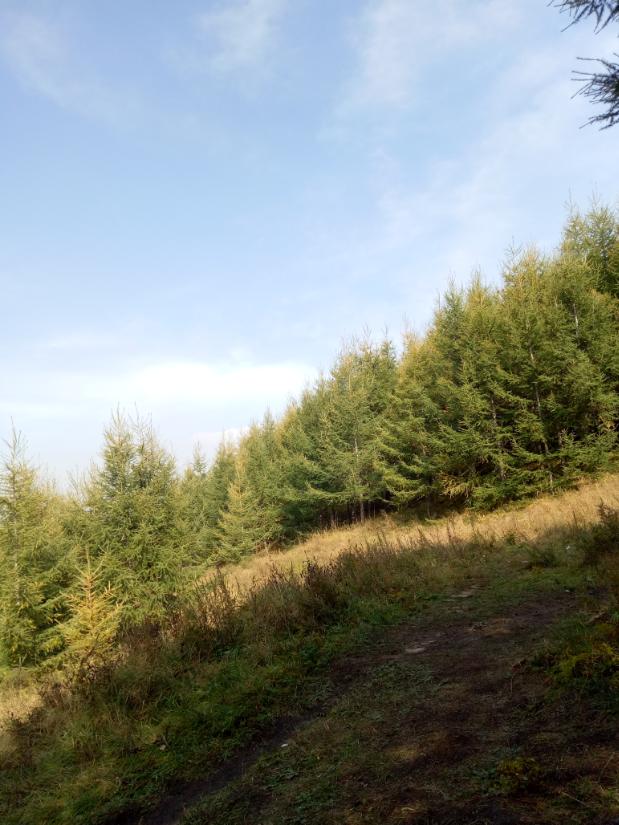 张北天路行,深度还原张北天路