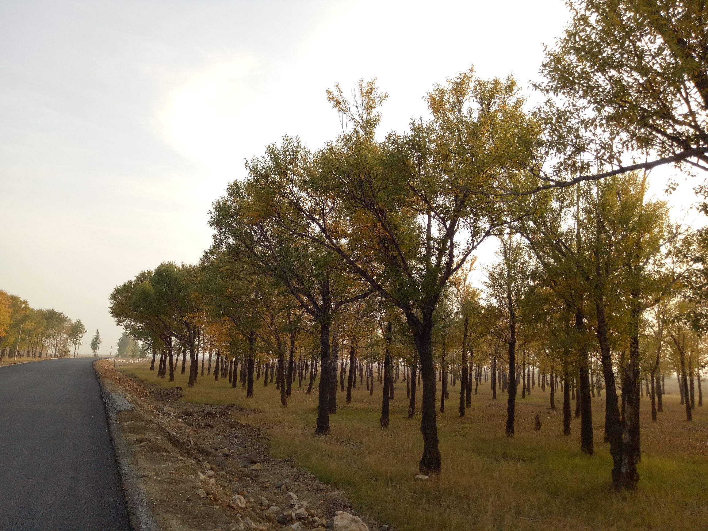 张北天路行,深度还原张北天路