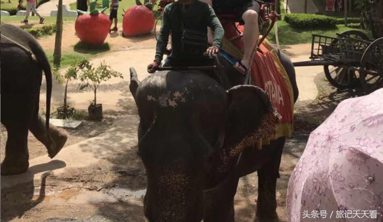 泰国普吉岛旅游攻略带酒,泰国普吉岛旅游能买什么