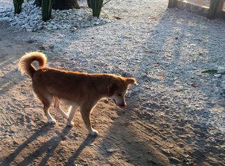150831粉色沙滩黎牙实比马荣火山ATV香港