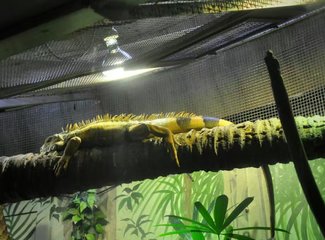 悉尼墨尔本大洋路旅游,悉尼7日游旅游攻略自由行