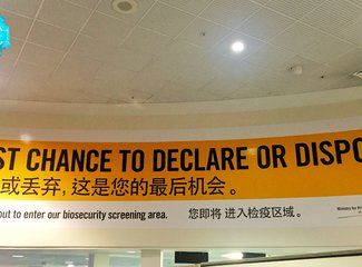 「2016.10RaesTriptoNewZealand」11日初次南半球之纽西兰