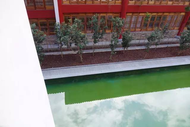 一个长得像李小龙的男人，在长泰一村子里，建了个千与千寻的奇幻世界