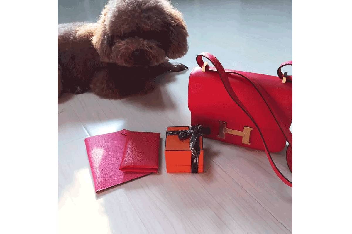 粉丝来信｜你今年买得最开心的一个包是？