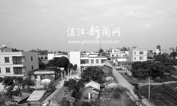 廉江市新民镇赤岭山村,廉江农村多户联建政策