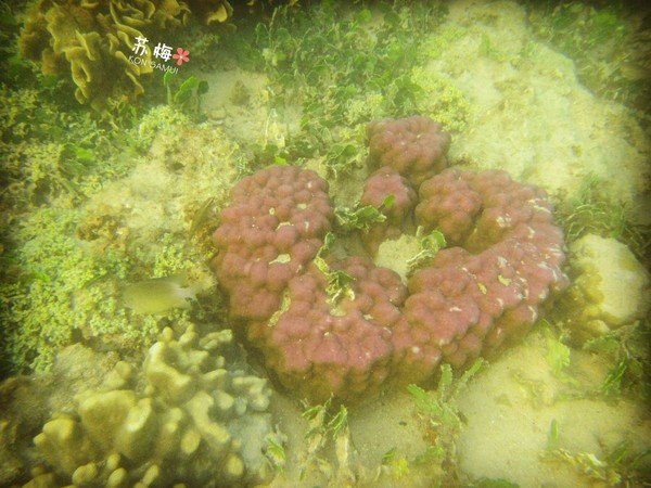 难忘蜜月结局,苏梅岛蜜月旅行