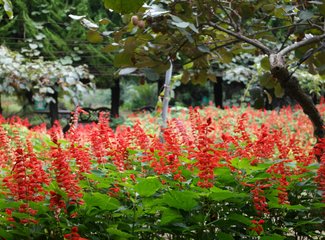 璇磋蛋灏辫蛋甯︿笂瀛欏コ鏃呰,璇磋蛋灏辫蛋甯﹀濡堝幓鏃呰