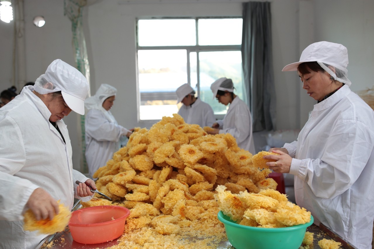 农村电商扶贫工作特点,农村电商扶贫案例