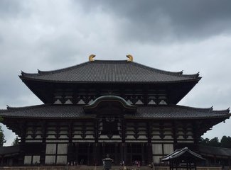 去东京住airbnb,相识十年从一个人到一家四口