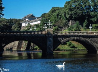 东京一日游城市美学,东京时尚街区