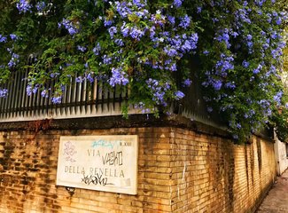 意大利好吃的餐馆,意大利好吃的美食