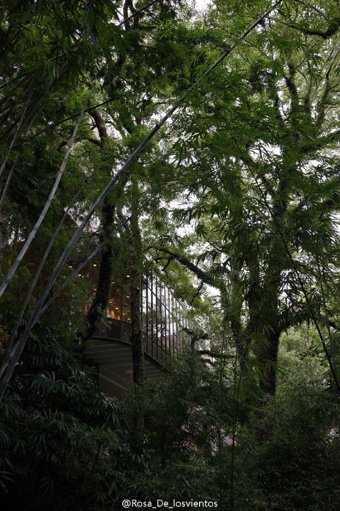 边吃边走的美食推荐,香港5日美食之旅搜罗各种美食