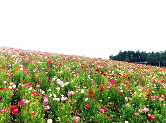 人在美途民族风旅拍,人在美途
