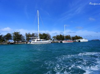 离天堂最近的地方张杰,离天堂最近的地方歌曲