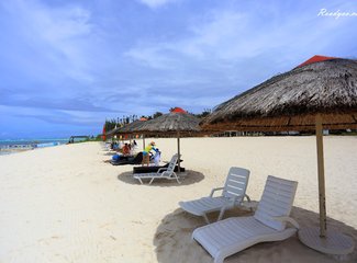 离天堂最近的地方张杰,离天堂最近的地方歌曲