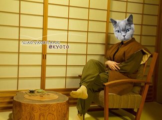 逛不尽的东瀛－二刷日本十五天