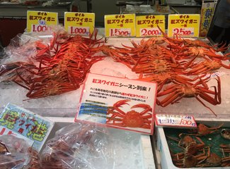 盛世公主号邮轮五日行程安排,千禧号豪华游轮图片