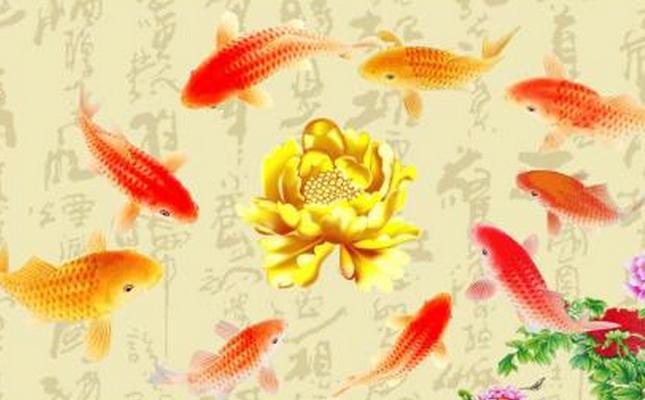 过完年财运挡不住三大生肖,这3大生肖2020年苦尽甘来福财兼得