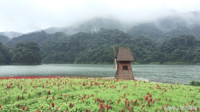 广东元旦从化旅游景点推荐,广州从化元旦三天两晚游玩攻略