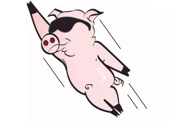 如何评价力哥说理财,力哥说理财是真是假