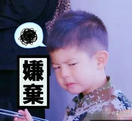 无力吐槽的品牌,无力吐槽热衷于diss别人的生肖