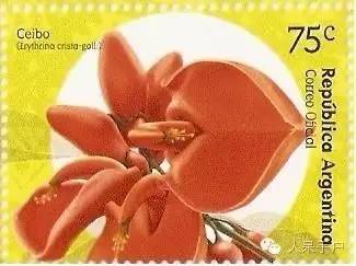 涓浗鍥借姳澶ц祻鍥剧墖,鍥借姳澶ц祻浜氭床鍥剧墖