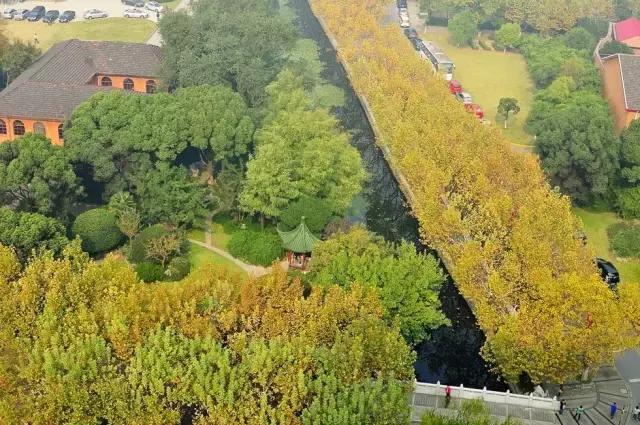 你的名字大学配音,你的名字东北话