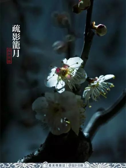 风吹腊梅香的诗句,风吹腊梅香时至小寒