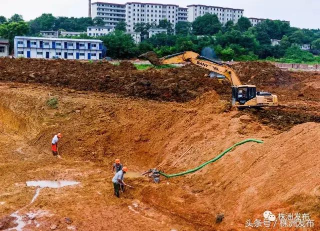 2019株洲改造工程,株洲路改造最新消息