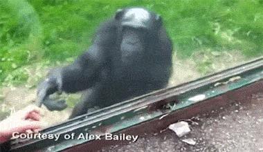 异地女友寄的一箱礼物,异地恋对象邮来的礼物