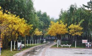 100句情感语录,500字经典情感语录