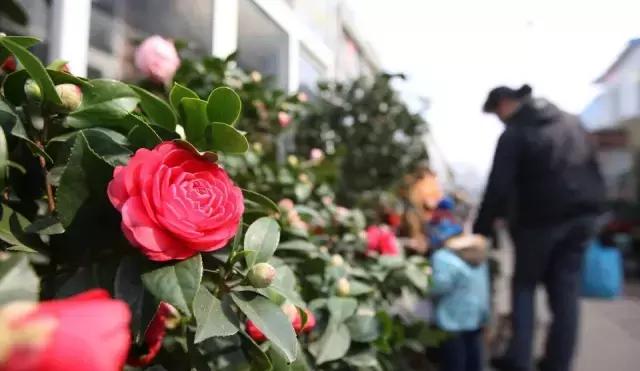 南通买年货去哪里,南通各大批发市场